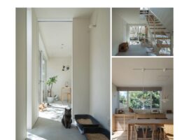 ニュースレター