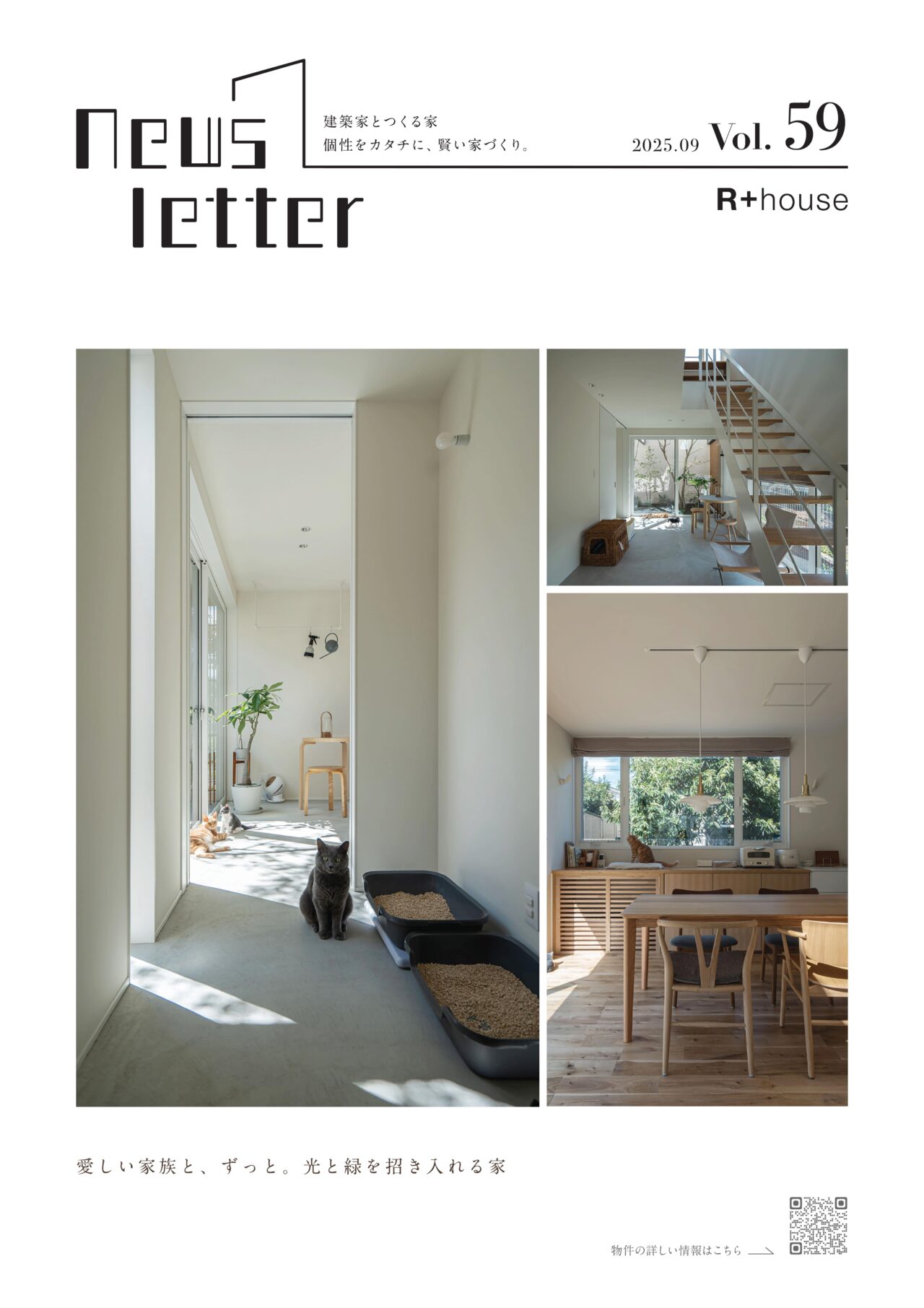 ニュースレター