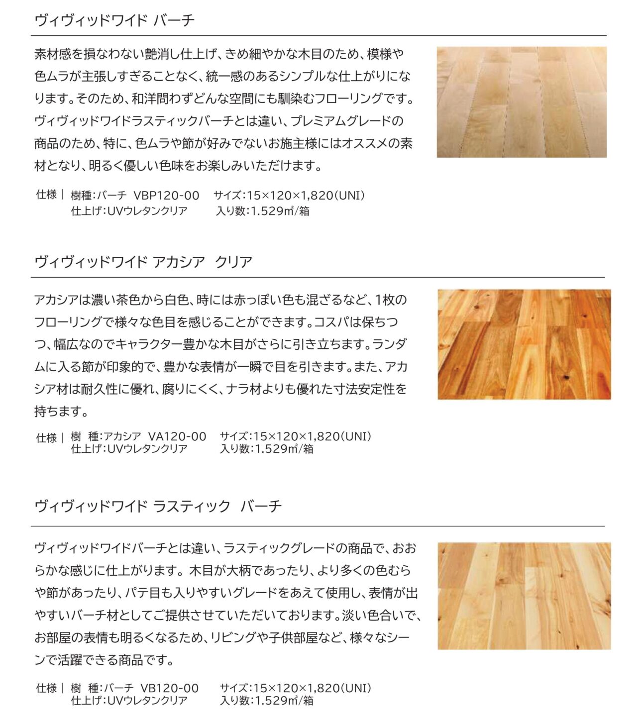 ヴィヴィッドワイドシリーズ