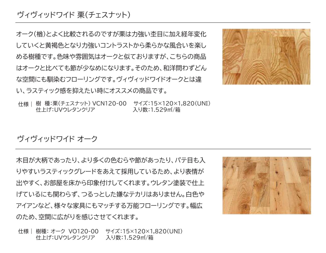 ヴィヴィッドワイドシリーズ