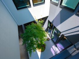 家族の記念の場所になるシンボルツリー