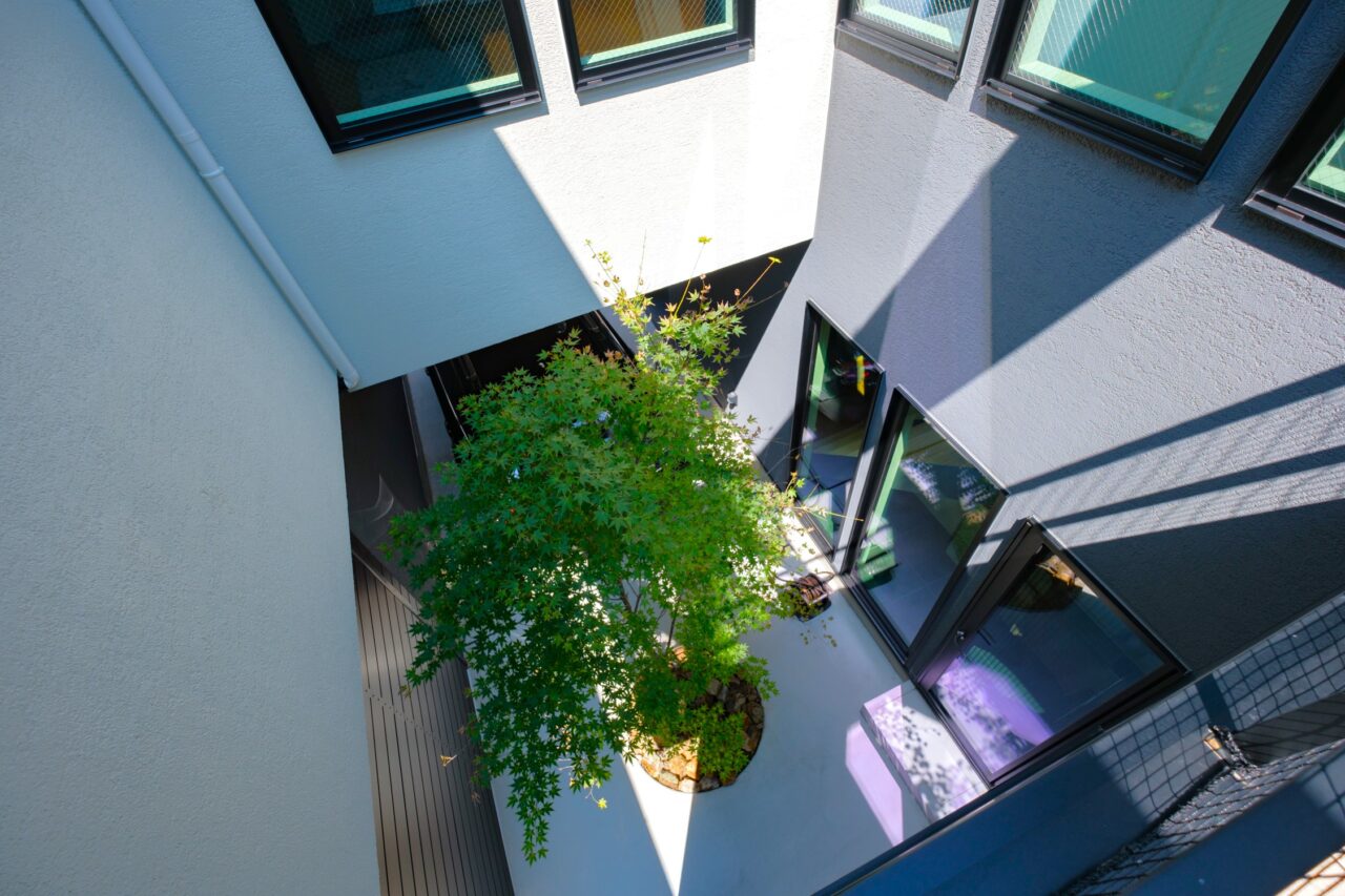 家族の記念の場所になるシンボルツリー