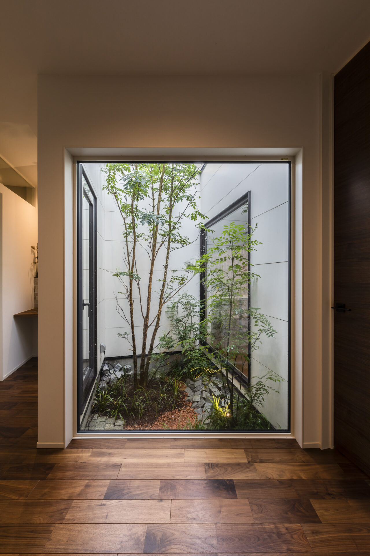 坪庭を設けて緑を楽しめる空間に