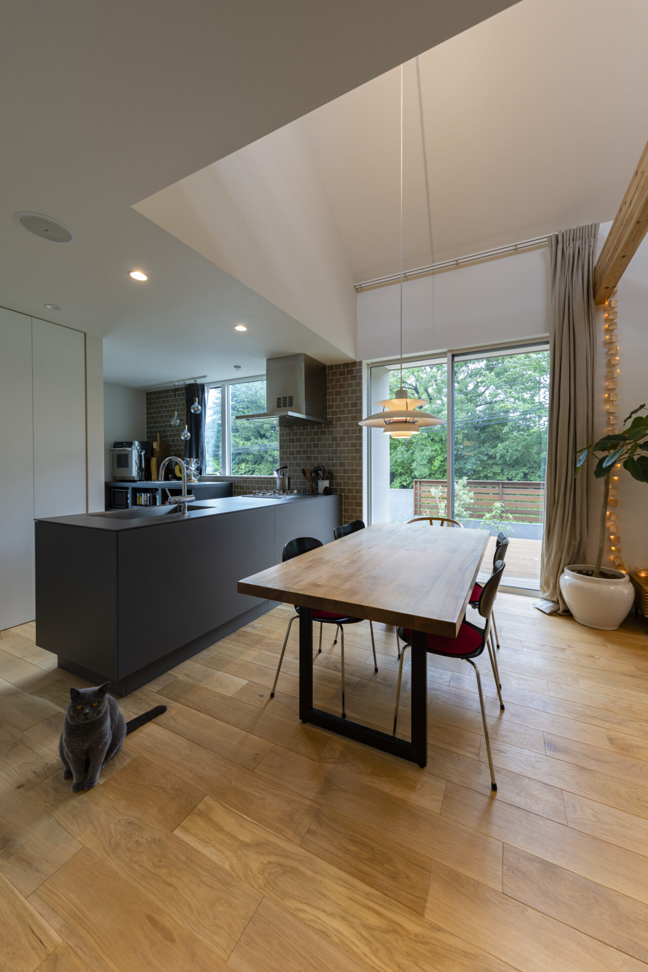 ペットと暮らしやすい家