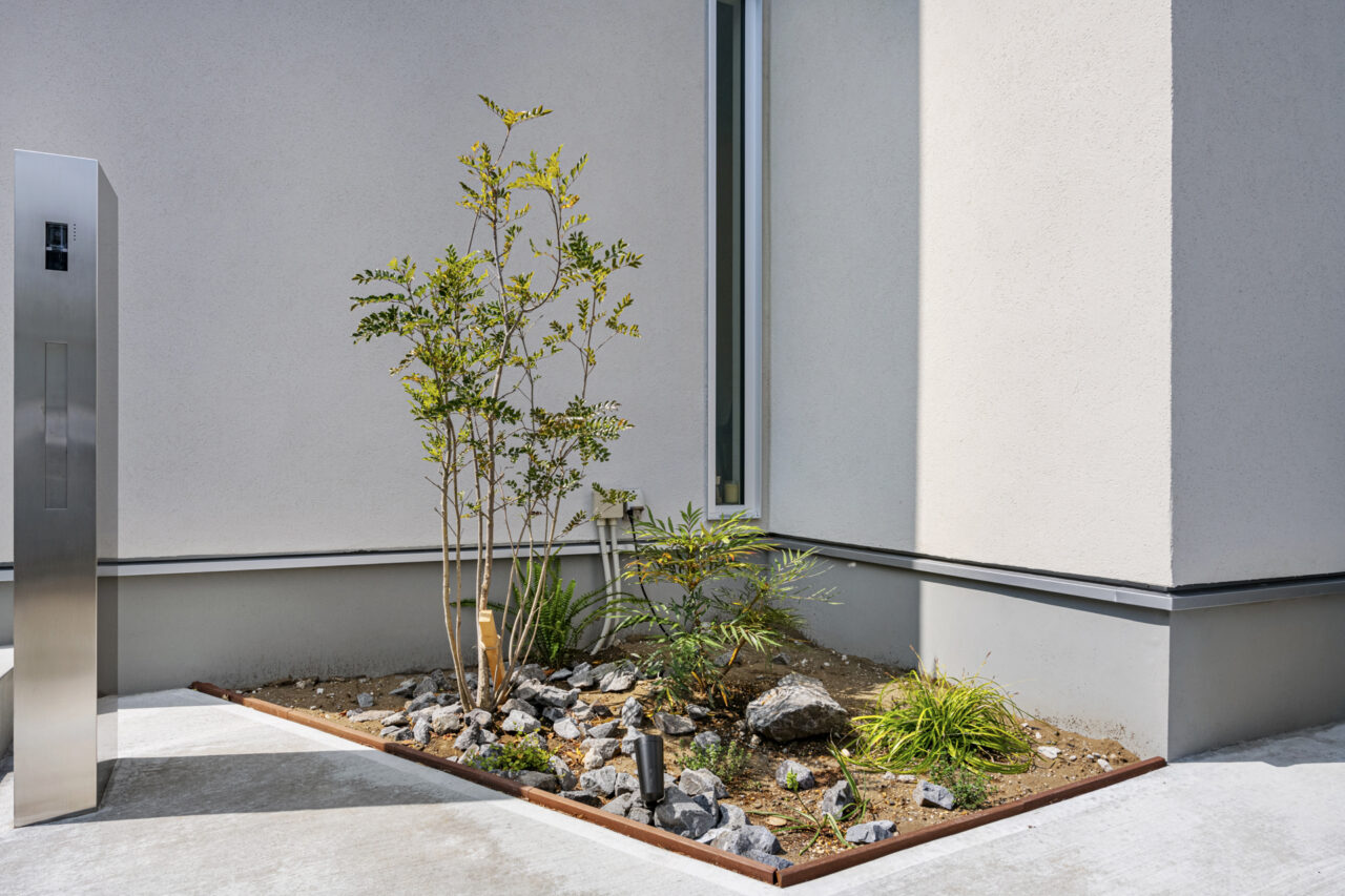 シンボルツリーのあるお庭