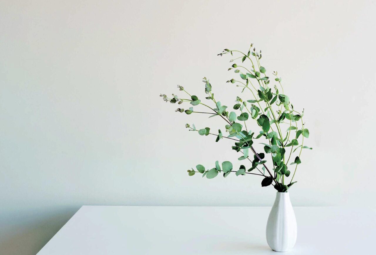 しっくいフリース