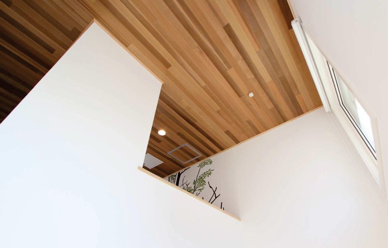 ウエスタンレッドシダー