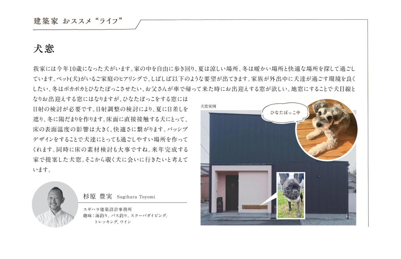 建築家 おススメライフ 犬窓