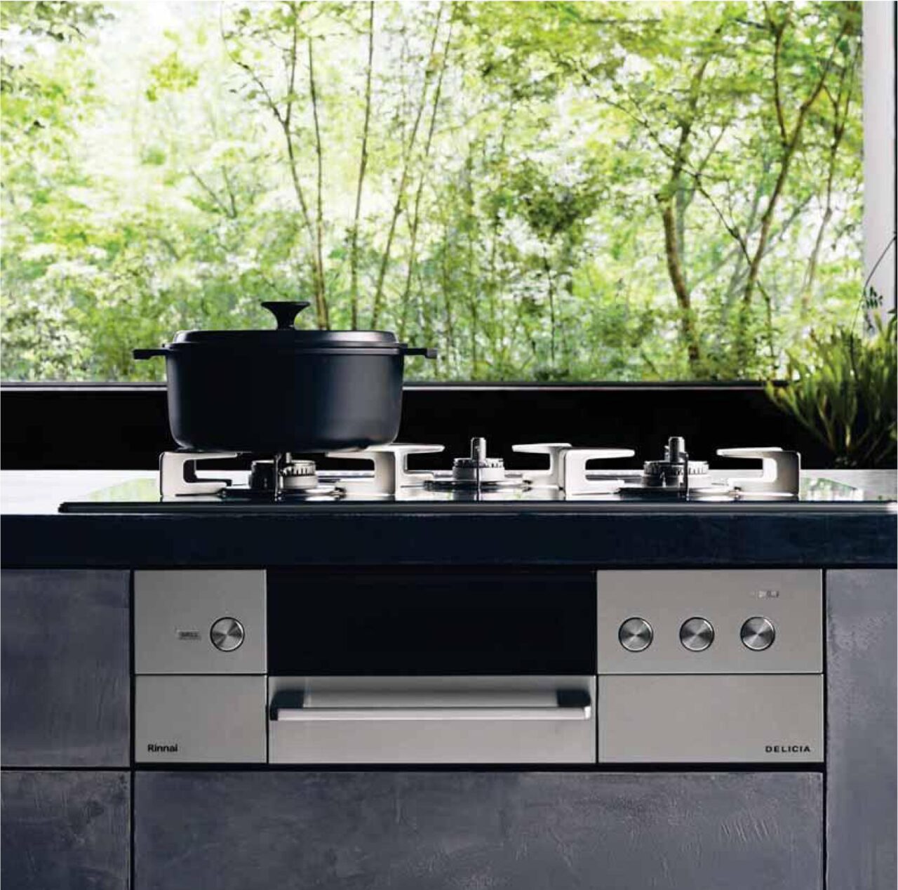 リンナイデリシア