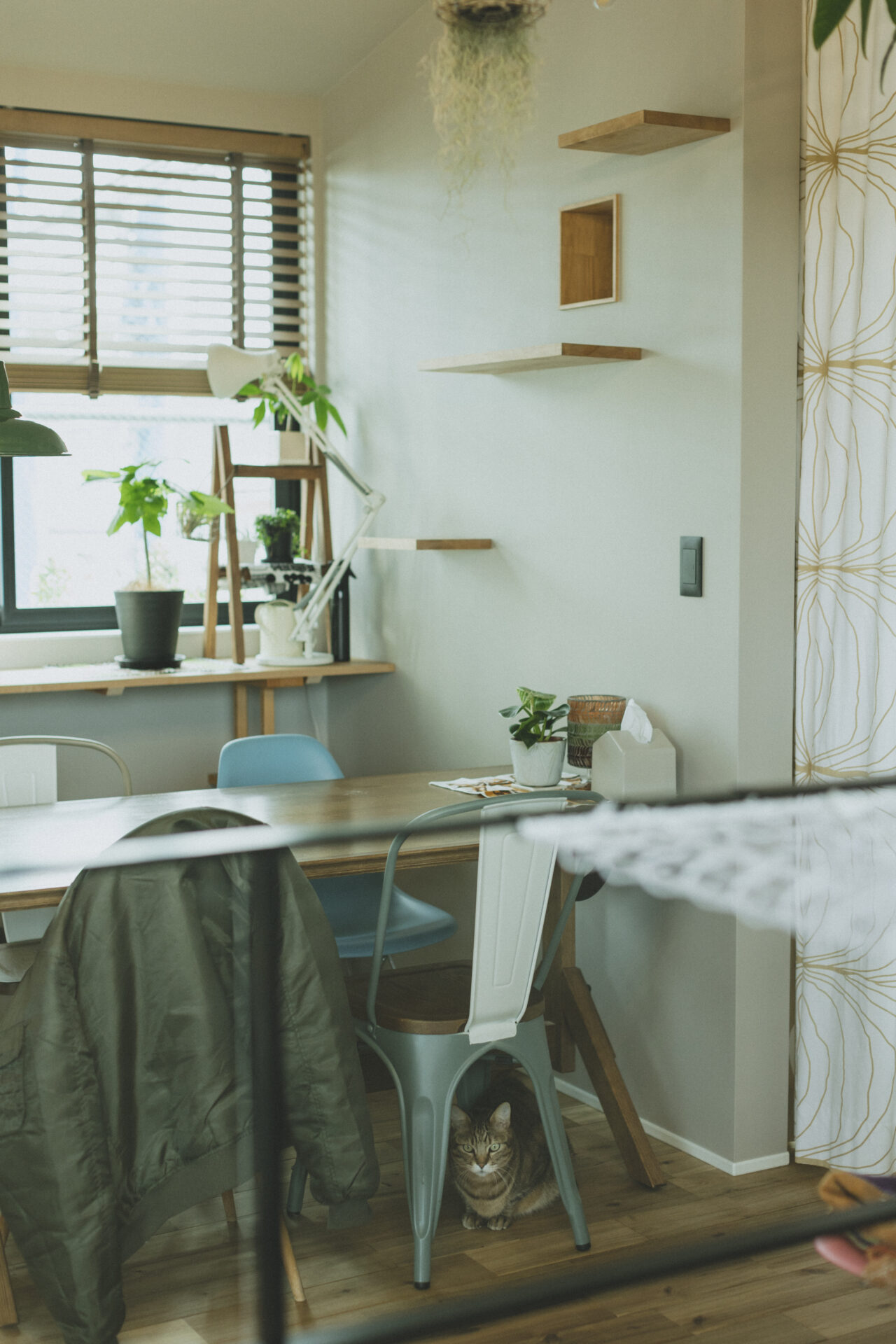 ペットも安心なリフォーム