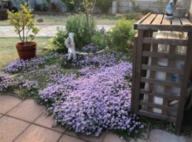 クリーピングタイム