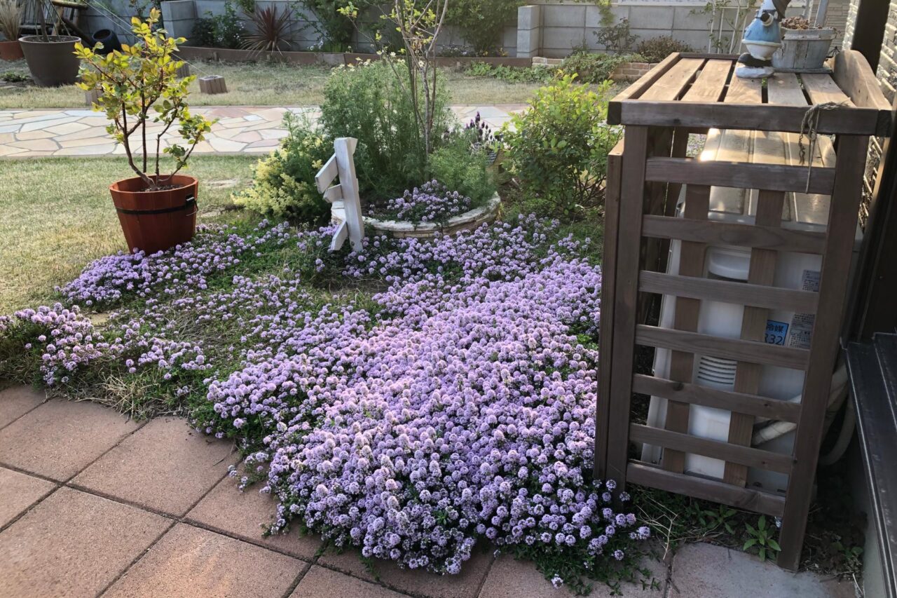 クリーピングタイム