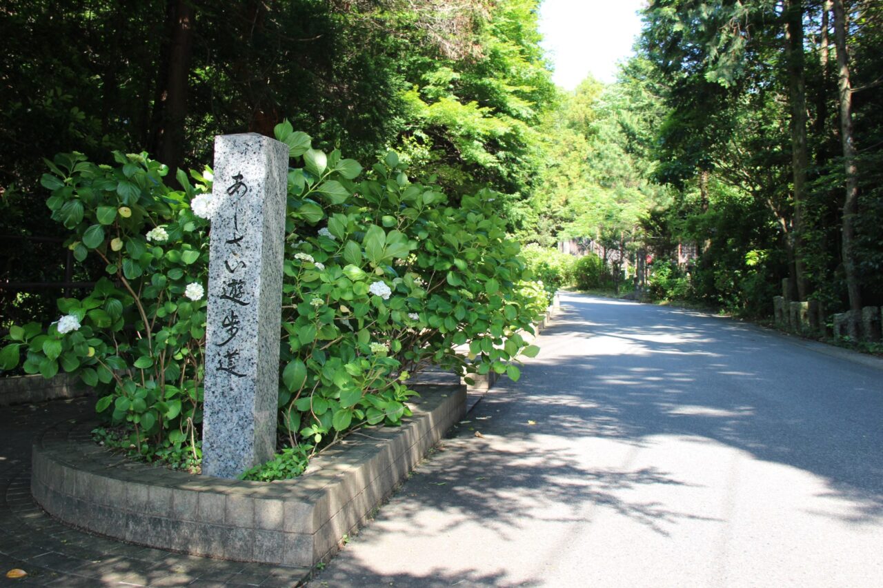 日進市あじさい遊歩道