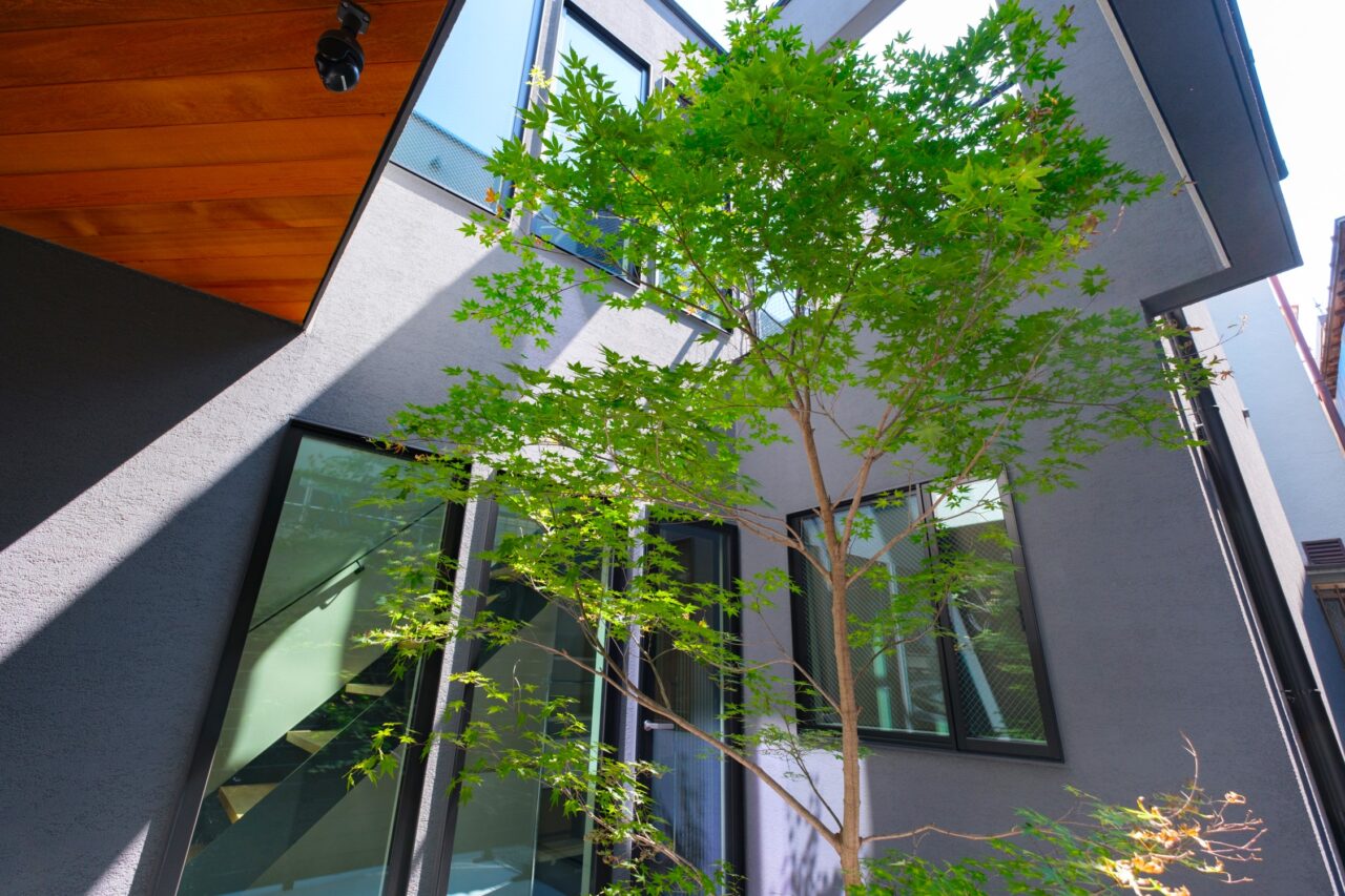 秋の植栽
